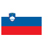 Republic of Slovenia flag